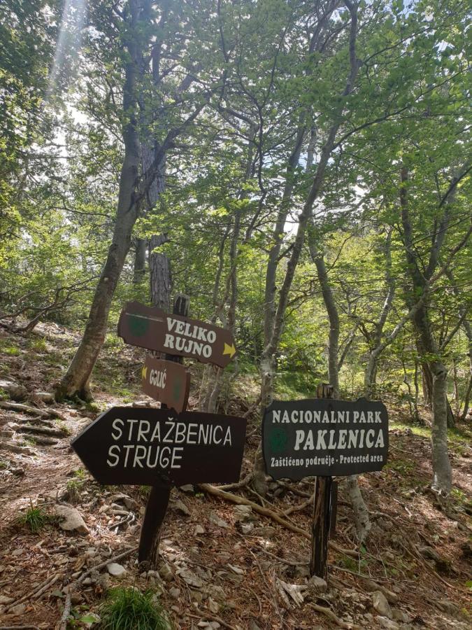 Appartement Vito à Starigrad Paklenica Extérieur photo